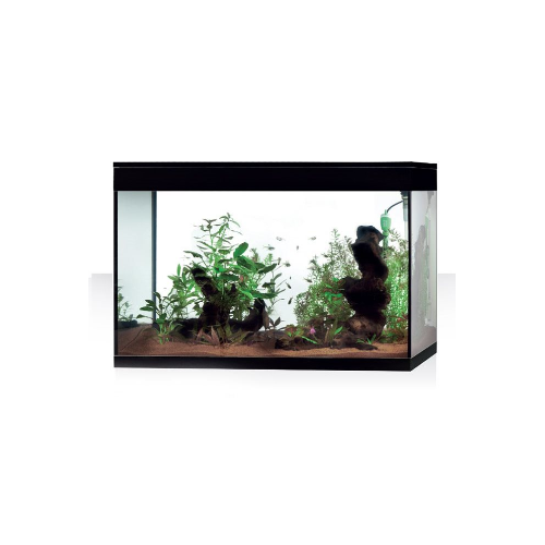 Aquarium pur XL HC, baignoire d'aquarium pure -...