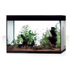 Aquarium pur XL HC, baignoire d'aquarium pure - Askoll