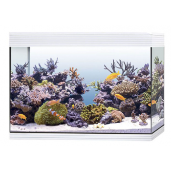 Pure Aquarium XL HC Marine, aquarium bath as well - Askoll