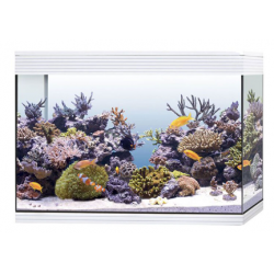 Pure aquarium XL HC Marine, tank Pure - Askoll