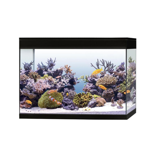 Pure Aquarium XL HC Marine, Baignoire Aquarium...