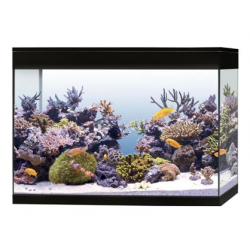 Pure Aquarium XL HC Marine, aquarium bath as well - Askoll