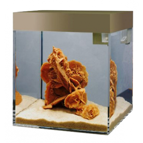 Aquarium pur, baignoire aquarium aussi - Askoll