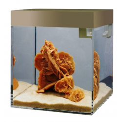 Pure aquarium S, tank Pure - Askoll