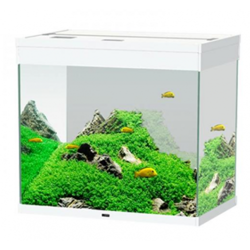 Cyan emotions nature pro 60 pk100, aquarium...