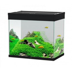 Cyan emotions nature pro 60 pk100, aquarium bathtub - askoll