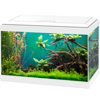 Aqua 20 Led Light CF40, tank for aquarium - Askoll