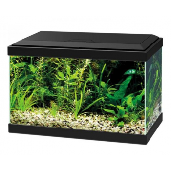 Aqua 20 Led Light CF40, tank for aquarium - Askoll 2