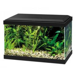Aqua 20 Led Light CF40, vasca per acquario - Askoll
