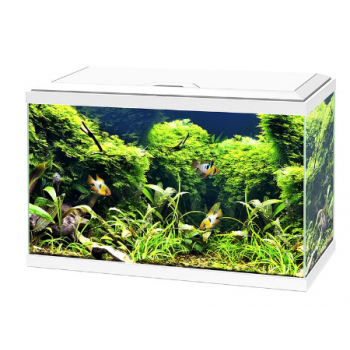 Aqua 60 LED, aquarium bathtub - Askoll