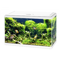 Aqua 60 LED, tank - Askoll