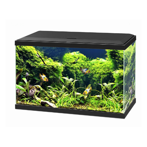 Aqua 60 LED, aquarium bathtub - Askoll