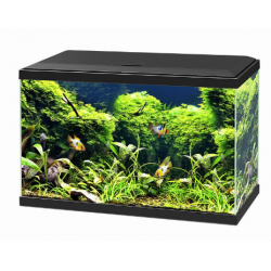 Aqua 60 LED, aquarium bathtub - Askoll