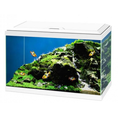 Aqua 60 LED Plus, Aquarium Bath - Askoll