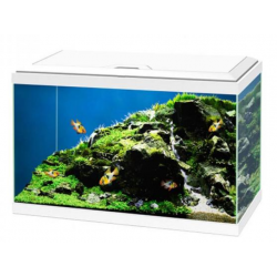 Aquarium 60 LED con Filtro CF80 - Acquario Completo 60 Litri per Pesci Tropicali e Caridine