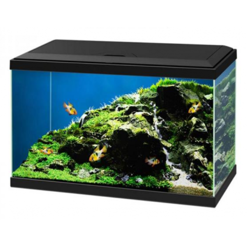Aqua 60 LED Plus, Aquarium Bath - Askoll