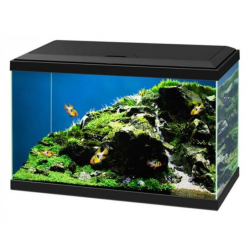 Aquarium 60 LED con Filtro CF80 - Acquario Completo 60 Litri per Pesci Tropicali e Caridine