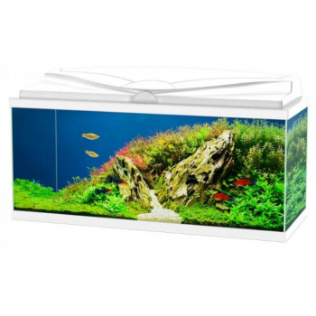 Aqua 80 LED, baignoire d'aquarium - Askoll