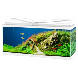 Aqua 80 LEDs, aquarium bathtub - Askoll