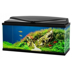 Aqua 80 LED, tank - Askoll