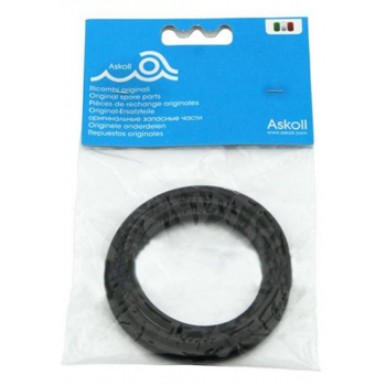 Pratiko 300/400 Old and New Generation Gasket - Askoll