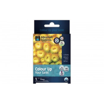 COLOR-UP Program to emphasize the colors of marine corals...