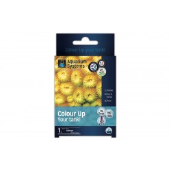 Color-up program to accentuate the colors of marine corals - Aquarium Systems
