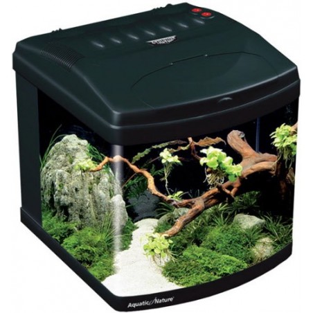 Evolution 1 Aquatic Nature