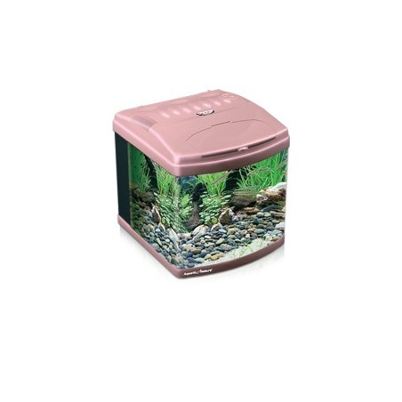 Evolution 1 Aquatic Nature