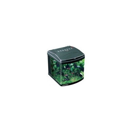 Evolution 1 Aquatic Nature