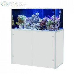 ACQUARIO MARINO 400 L. REEF PLUS 120X60X60 CM COMPLEY OF TECHNICAL - VETRO EXTRACHIARO WITH SUMP AND SUPPORT- GENESI
