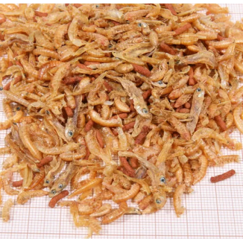 JBL Proland Baby, turtle feed 2