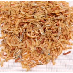 JBL Proterra Baby, mangime per tartarughe