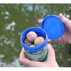 Florapond, fertilizer spheres for pond plants (8 spheres) - JBL