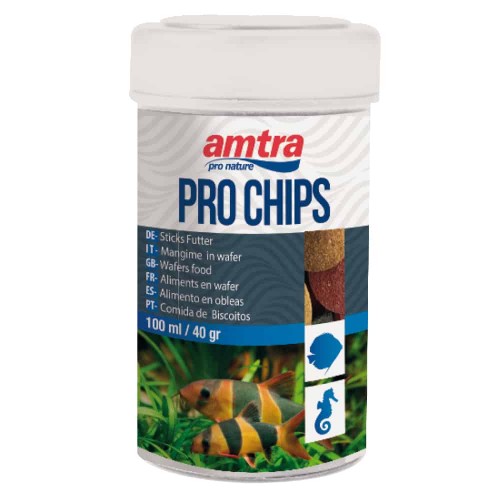 Proppiches pro - AMTRA