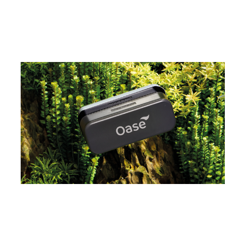 10mm clean magnet - Oase