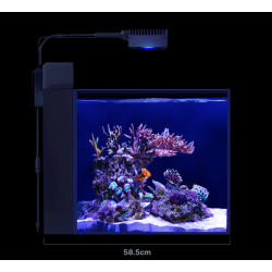 Max Nano G2 Peninsula, without support - Red sea