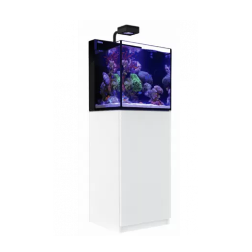 Max Nano G2 Peninsula, with support - Red sea