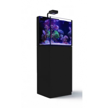 Max Nano G2 XL, con supporto - Red sea 2