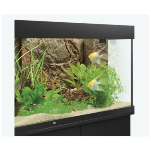 Background Cliff dark Juwel Sfondo 3D