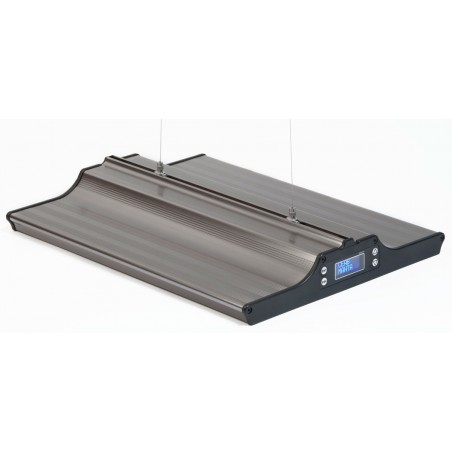 Plafoniera Moray a led Ceab per acqua dolce