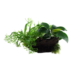 Microsorum - Anubias Duo sur bois xl - Tropica