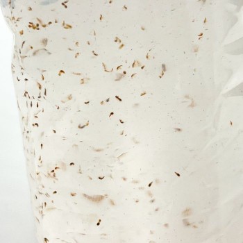 Covers 90ml live food for fish Live Food
