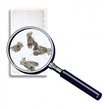 Covers 90ml live food for fish Live Food 2