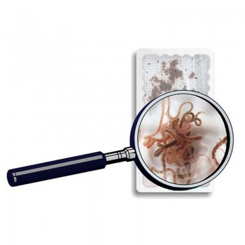 Tubifex ml 90ml live food for fish Live Food 2