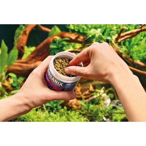 ORGANIX Power Sticks - Oase