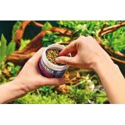 Bâtons d'alimentation Organix - Oase