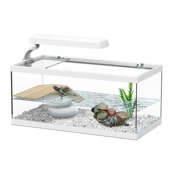 Tortue blanche tortum - Aquatlantis