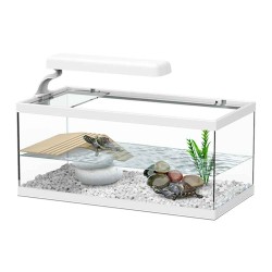 Tartarughiera TORTUM Bianca - Aquatlantis