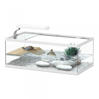 TORTUM White Turtle - Aquatlantis 2